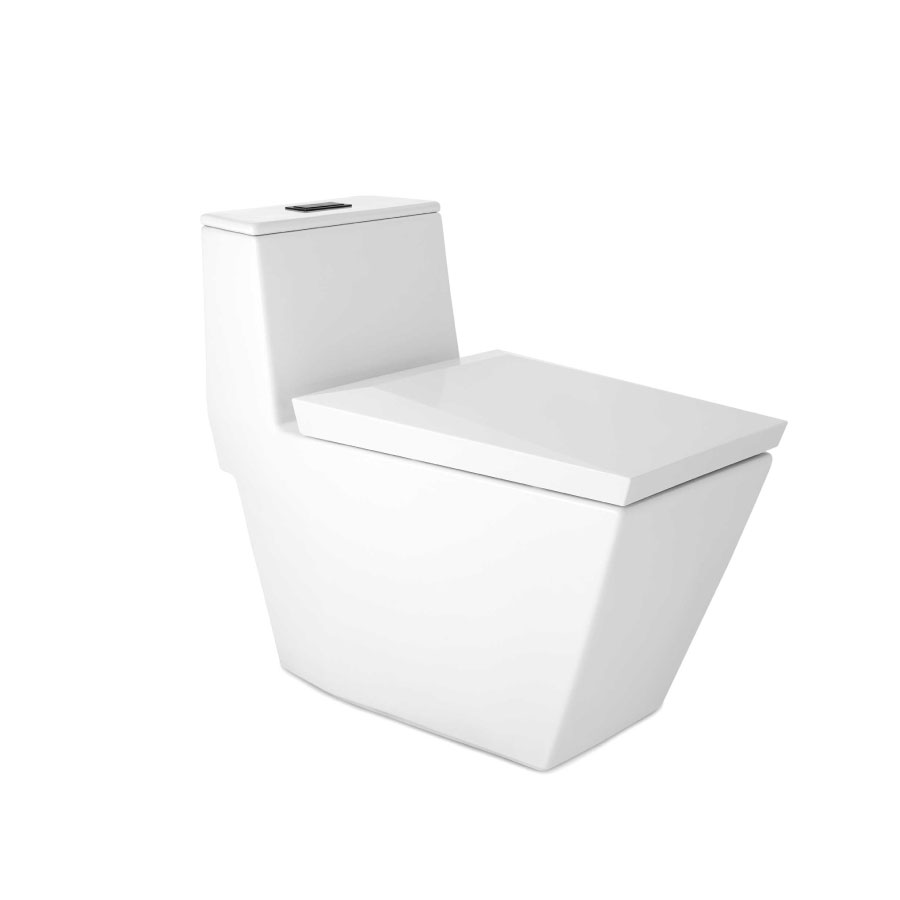 C102807 Bồn cầu 1 khối nắp đóng êm Skive