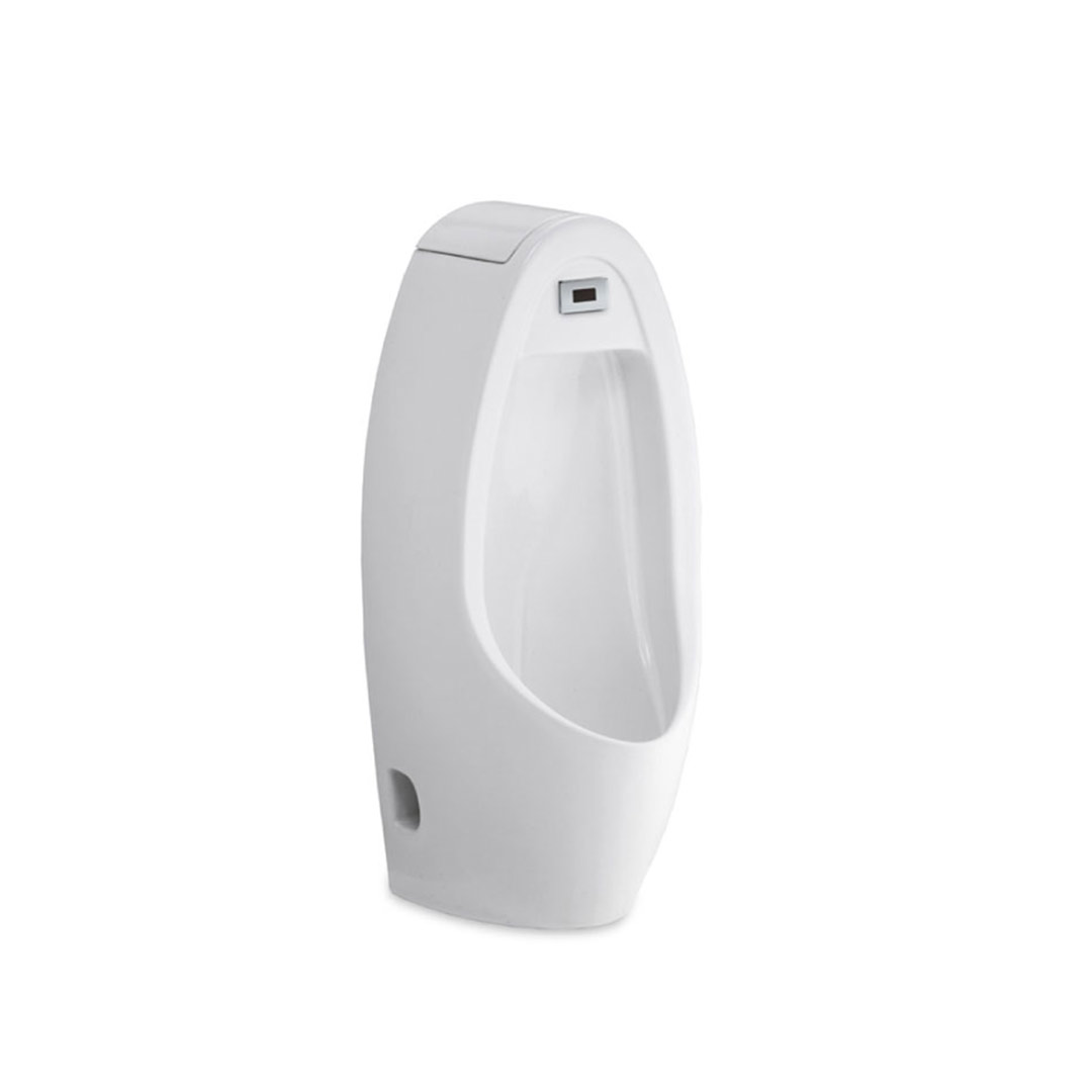 C31237(AC) Tiểu nam cảm ứng Domenics